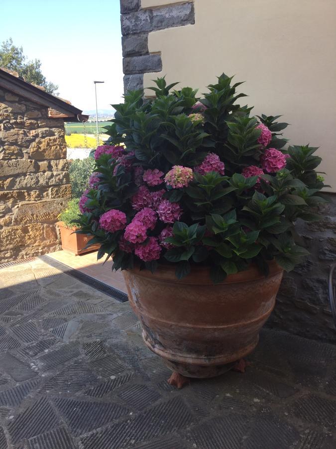 Agriturismo Borgo Tra Gli Olivi Castiglion Fiorentino Luaran gambar