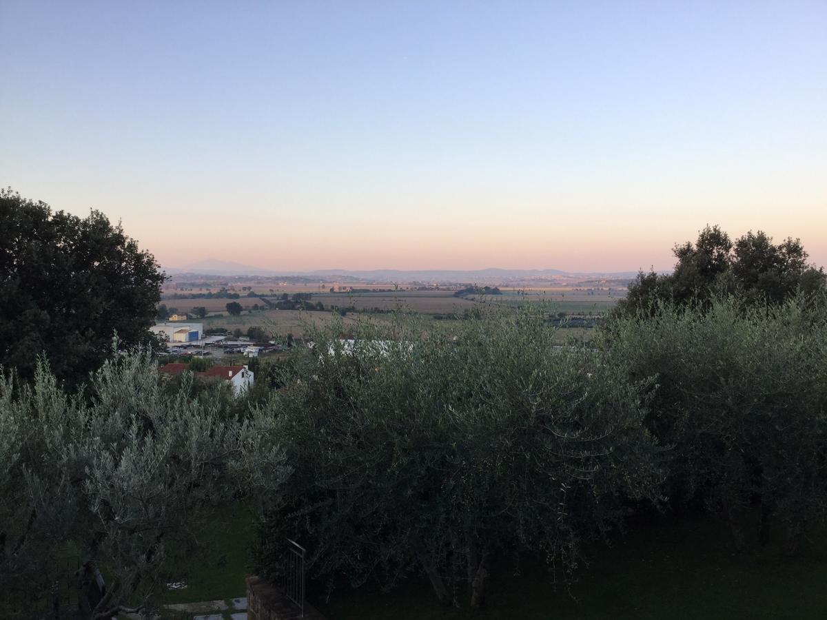 Agriturismo Borgo Tra Gli Olivi Castiglion Fiorentino Luaran gambar