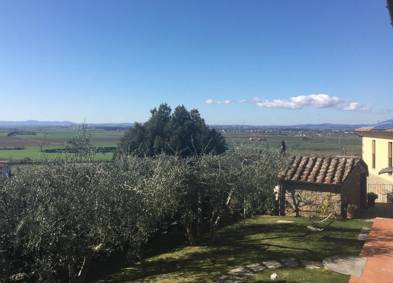 Agriturismo Borgo Tra Gli Olivi Castiglion Fiorentino Luaran gambar