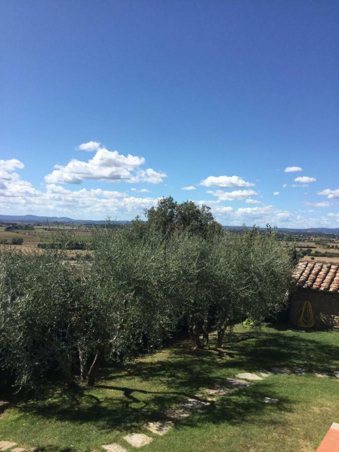 Agriturismo Borgo Tra Gli Olivi Castiglion Fiorentino Luaran gambar